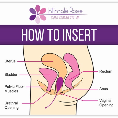 Système d’exercices de musculation Intimate Rose® Kegel