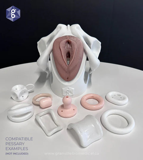 Iris™ Pessary & Device Demonstration Model