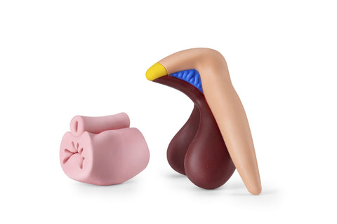Clitoris Plus Female Anatomical Model