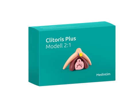 Clitoris Plus Female Anatomical Model
